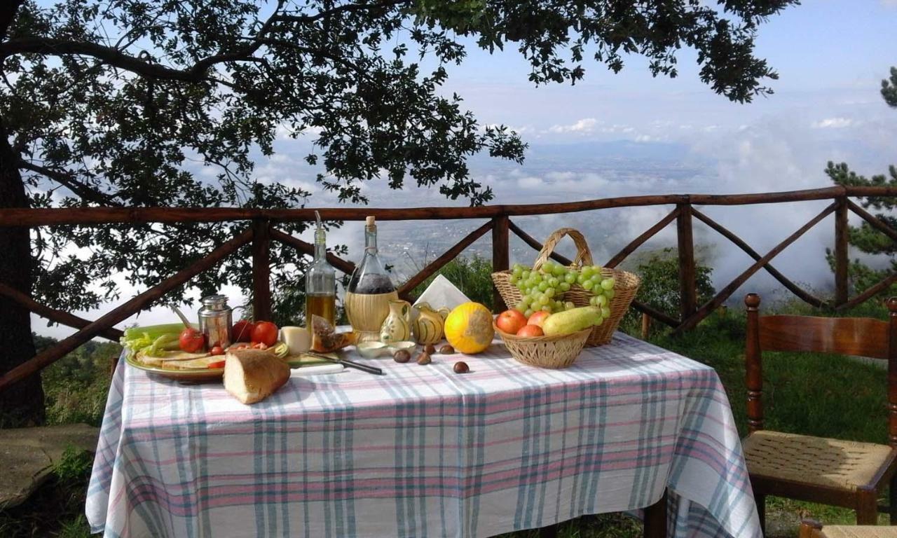 La Casa Gialla Belvedere กอร์โตนา ภายนอก รูปภาพ