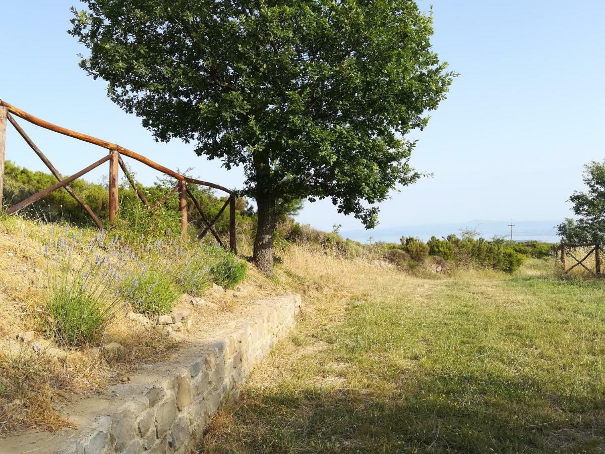 La Casa Gialla Belvedere กอร์โตนา ภายนอก รูปภาพ